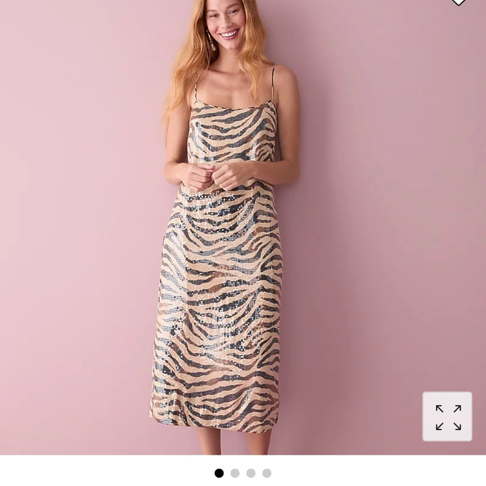 J. Crew Gwyneth Sequin Slip Dress in Zebra Stripe Size 4 NWT